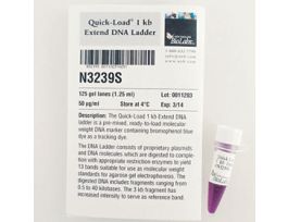 QUICK-LOAD 1 KB EXTEND DNA LAD