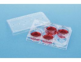PLATES CELL CULTURE PS ST CS50.
