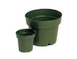 6 PLAS. AZALEA POT PK/10 GREEN CS