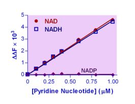 KIT NAD/NADH ASY ENZYFLUO 0.02UM 100TEST