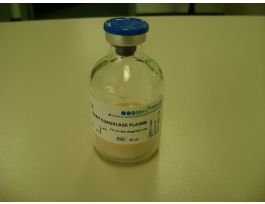 RABBIT COAGULASE PLASMA 30ML FOR IDENT.