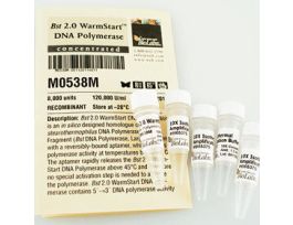BST 2.0 WARMSTART DNA POLYMERA