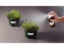 MECHANISM OF HERBICIDES LAB ACT. 6 GRPS