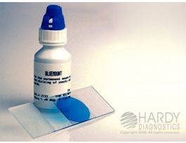 BLUEMOUNT PERM. FUNGAL STAIN W PVA 15ML