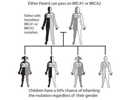 KIT BREAST CANCER RISK SINGLE