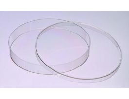 VWR DISH TISSUE CULTURE 150MM ST