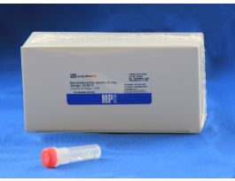 MATRIX C LYSING GLASS SPHERE 50X2ML TUB