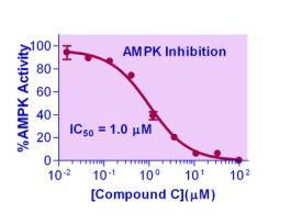 KIT KINASE ASY ENZYCHROM 0.01 U/L 400TST