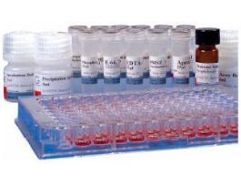 KIT PROTEASE ESTM ASS PROTESEEKER 50ASS