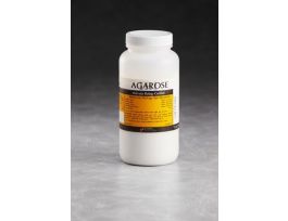 BIOMAX BASIC AGAROSE - 250GM