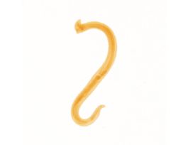 ANCYLOSTOMA DUODENALE-MALE (WM) SLIDE