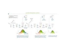 SPARQ PUREMAG BEAD HIGH RECOVERY 60 ML