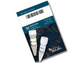 EcoR V (100,000 units/ml) 20,000 units, Restriction Enzyme Endonuclease-high concentration