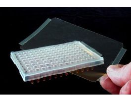 VWR FILM RAISED RIM CS100