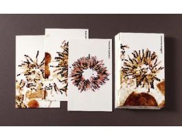 CARDS SORDARIA CROSSING-OVER FLASHCARDS