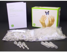 MICROSPIN G-50 COLUMN PK250