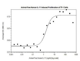HUMAN IL-11 (AF) 100UG