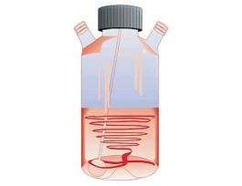 Glass Cell Culture Flask, 125 mL; 1/ea