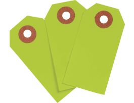 Blank Write-On Tags, 2.75" H x 1.375" W, Cardstock, Fluorescent Green 1000/PK