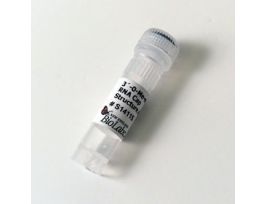 3'-O-ME-M7G(5')PPP(5')G RNACAP