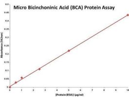 KIT BICINCHONINIC ACID PRT 5000MICASSAY