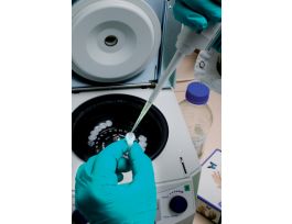 PD SPINTRAP G-25 1EA