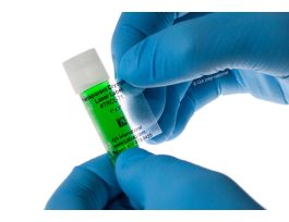 LABEL 1X1IN CRYO CLEAR LASER SHEET