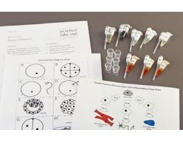 KIT STEM CELLS SINGLE