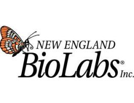 NEBNEXT SMALL RNA LIBRARY PREP