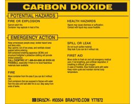 CARBON DIOXIDE Labels, 3.75" H x 4.5" W x 0.005" D, Black on Yellow