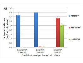 PEIPRO DNA TRANSFECTION REAGENT 100ML