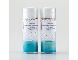 DROSOPHILA STRAIN SET 4 87-6550 87-6565
