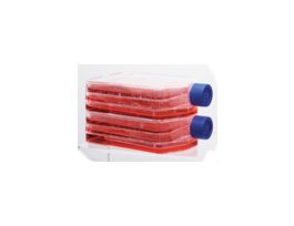 700 mL Non-treated Cell Culture Triple Flask; 32/cs