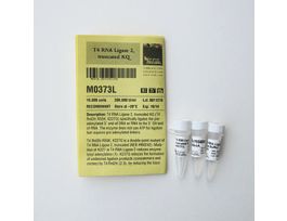 T4 RNA LIGASE 2 10000U