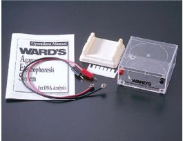 BATTERY POWERED ELECTROPH SYST