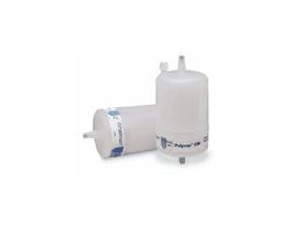 Groundwater Filter Capsule, 0.45m, 1/cs