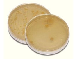 HOW CLEAN IS WATER?/AIR WE BREATHE? KIT