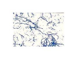 INTRODUCTION TO BACTERIA SET/10