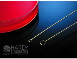 LOOP NICHROME MED HANDLE 3MM 5PK