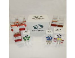 PRIMACELL HMN CANCER 1 KIT