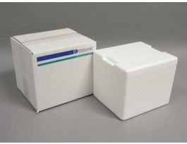 SHIPPER EX SM COOLER 12CS