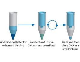 KIT DNA CLEAN UP GET 25 PREP