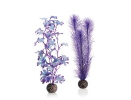 BIORB KELP SET MEDIUM PURPLE CS