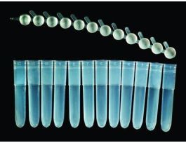 12ML 8-STRIP TUBES 125/BX. BX