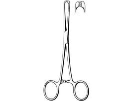 ALLIS TISSUE FCPS 6IN 5X6