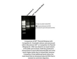 KIT PLASMID MINIPREP GET 50 PREP PK50