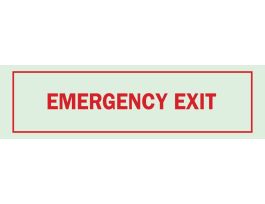 BradyGlo Emergency Exit Sign, 5" H x 14" W x 0.008" D