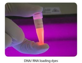 DYE DNA GLOW CLEANAWAY 6X 1500UL