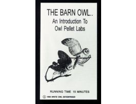 VIDEODVD BARN OWL AN INTRO TO OWL PELLET