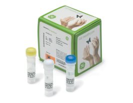 KIT SEQUENCE RESOLVER TEMPLIPHI 200RXN